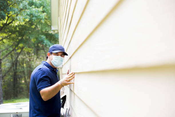 Best Custom Trim and Detailing for Siding  in Lesslie, SC